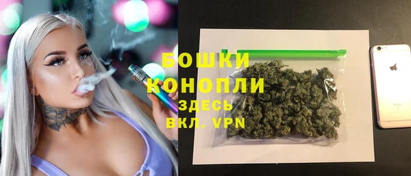 прущие грибы Приозерск