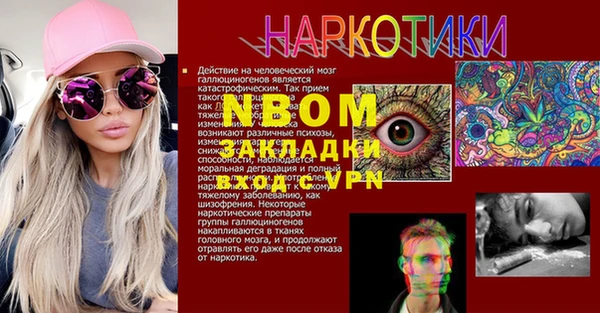 прущие грибы Приозерск