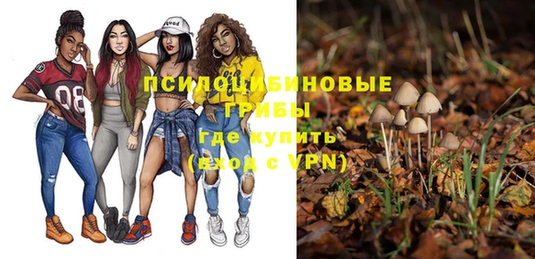 бошки Пересвет