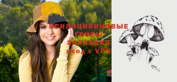 прущие грибы Приозерск