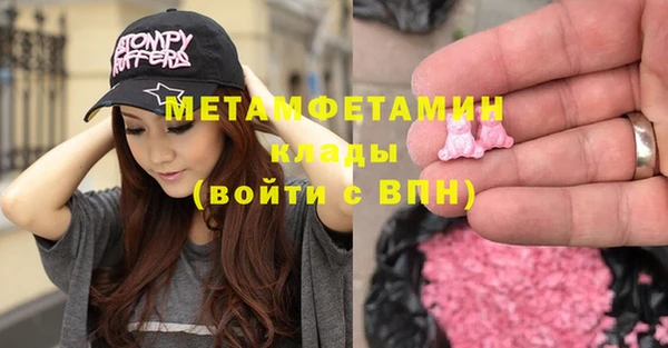 прущие грибы Приозерск